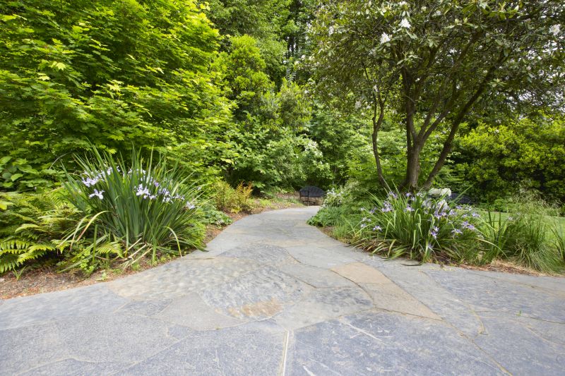Pathway with Decorative Pavers