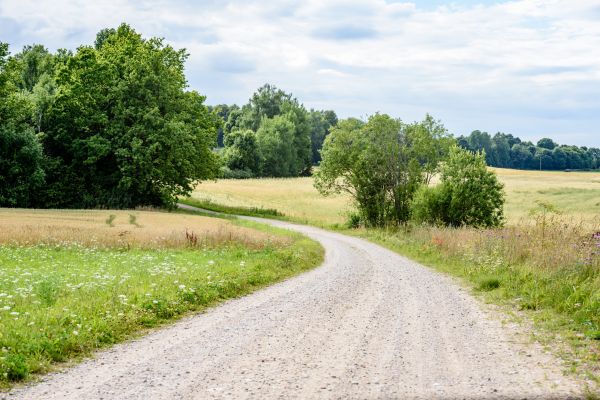 Stone Driveway Repair in Grove City