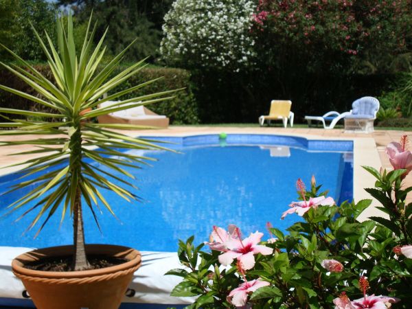 Pool Terrace Renovation in Grove City
